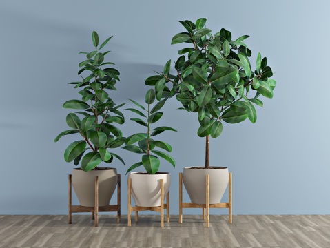  现代植物 盆栽 绿植3d模型 