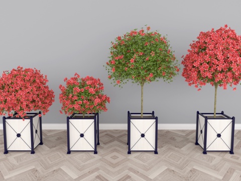  现代风格盆栽盆景3d模型 