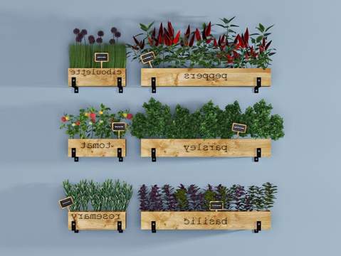  现代盆栽3d模型 