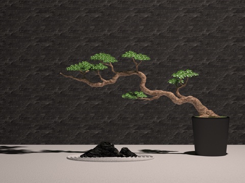  植物 盆栽 盆景 树 景观石3d模型 