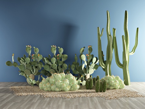  现代植物 盆栽 绿植 庭院沙漠3d模型 