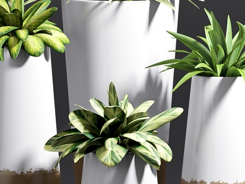  植物花盆模型3d模型 