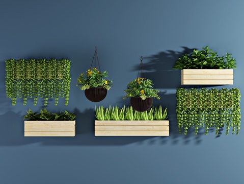  现代植物 盆栽 绿植3d模型 