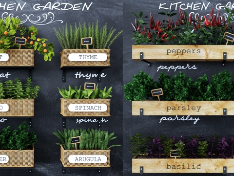  绿化墙 植物墙 植物墙饰 墙饰 盆栽 盆景，小盆栽 装饰3d模型 