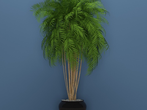  现代盆栽3d模型 