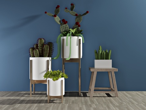  现代植物 盆栽 绿植3d模型 