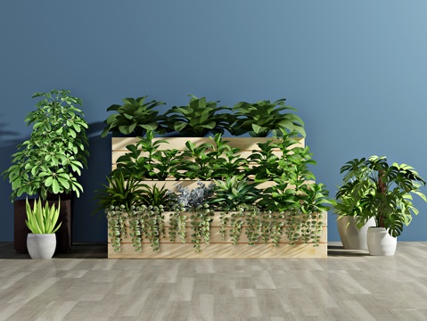  现代植物 盆栽 绿植3d模型 