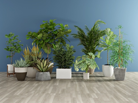  现代盆栽3d模型 