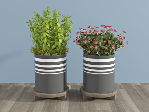  现代植物 盆栽 绿植3d模型 