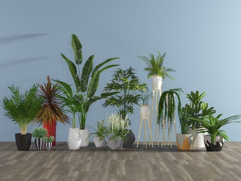  现代盆栽3d模型 