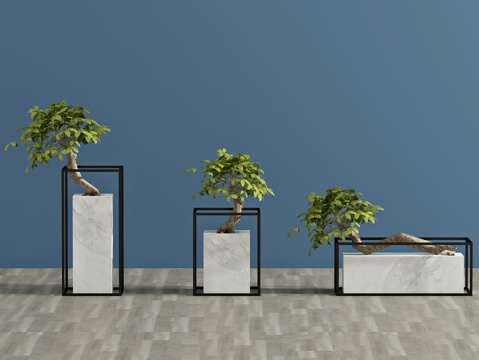  现代植物 盆栽 绿植3d模型 
