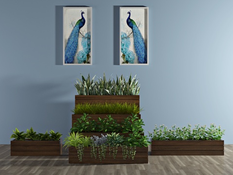  现代植物 盆栽 绿植3d模型 