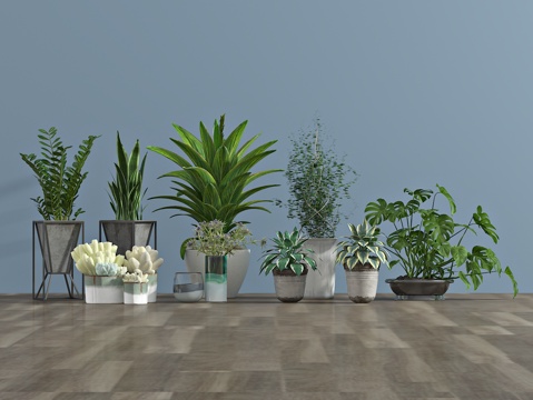  现代植物 盆栽 绿植3d模型 