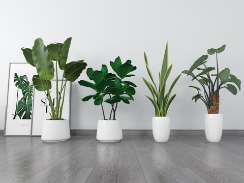  现代室内盆景组合3d模型 