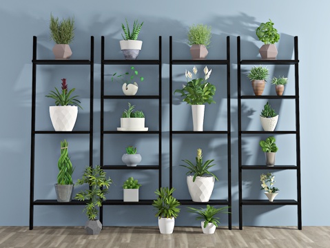  现代植物 盆栽 绿植 花架3d模型 