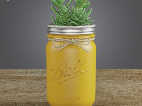  装饰瓶植物模型3d模型 