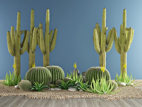  现代植物 盆栽 仙人球 仙人掌 绿植3d模型 