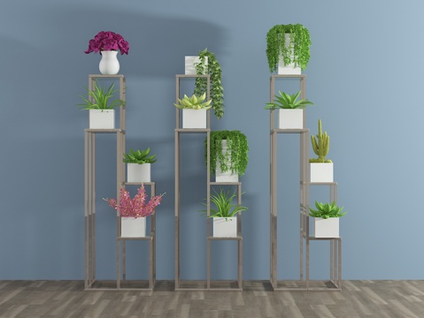  现代植物 盆栽 绿植3d模型 