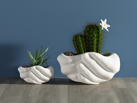  现代植物 盆栽 绿植 手捧造型花盆 仙人掌3d模型 