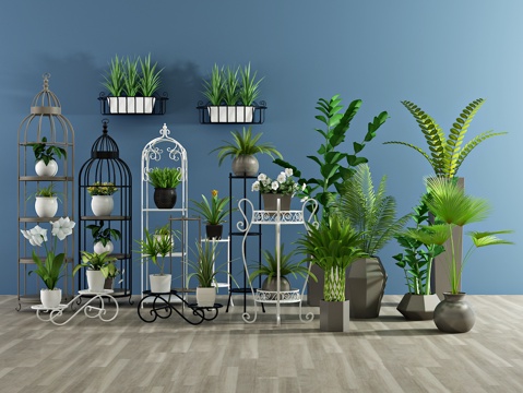  现代盆栽3d模型 