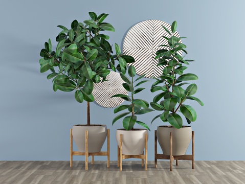  现代植物 盆栽 绿植3d模型 