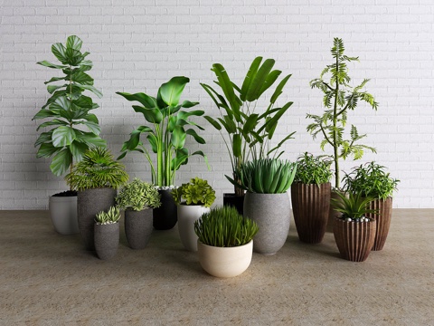  现代植物组合3d模型 