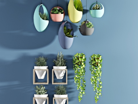  现代植物 盆栽 绿植挂式多肉3d模型 