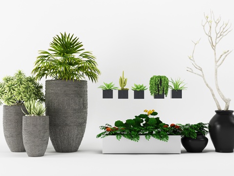  现代绿植盆栽干枝组合3d模型 