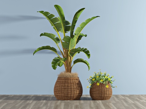  现代盆栽3d模型 