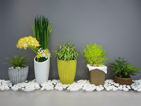  现代盆栽植物摆设品3d模型 