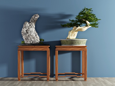  现代植物 盆栽 绿植 实木角几罗汉松3d模型 