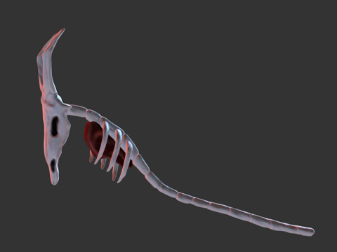  骨龙法杖激战3d模型 