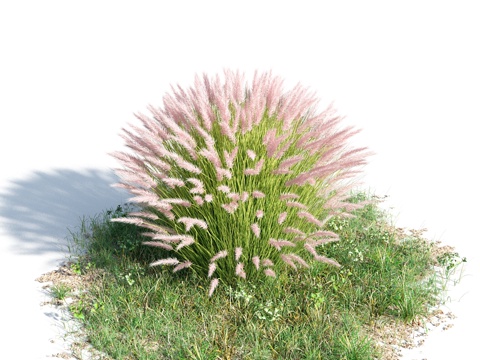  花 灌木 植物 花草 绿篱 花园 花坛 花丛3d模型 