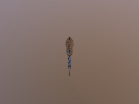  内脏鲨鱼3d模型 