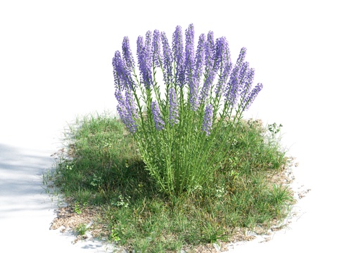  花 灌木 植物 花草 绿篱 花园 花坛 花丛3d模型 