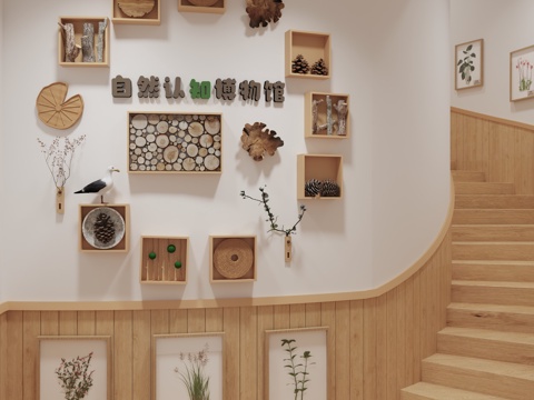  自然认知博物馆 幼儿园楼梯角 植物角 植物标本角 幼儿园楼梯3d模型 