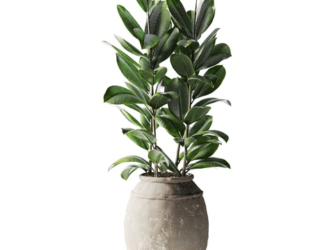  现代室外绿植盆栽3d模型 