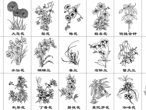  现代鲜花花卉CAD立面图cad施工图 