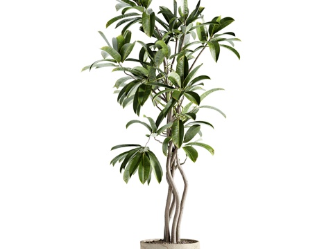  现代室外绿植盆栽3d模型 