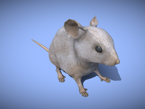  老鼠XGEN毛发系统多色写实风格3d模型 