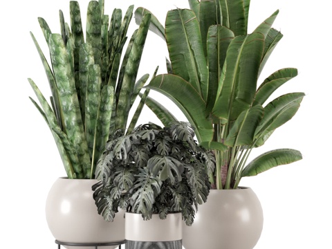  Ferm Living Bau大号盆栽室内植物套装3823d模型 