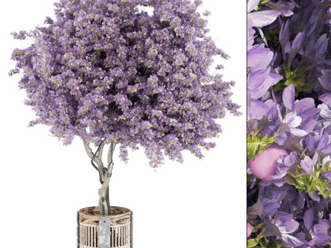  水泥盆栽粉红喇叭树 Corona3d模型 