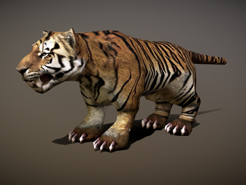  三维实时幻想坐骑虎3d模型 