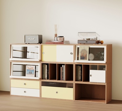  现代中古书柜3d模型 