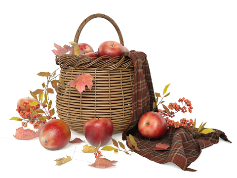  篮子里的苹果3d模型 