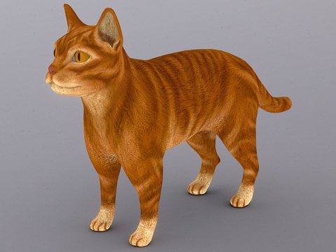  橘猫3d模型 