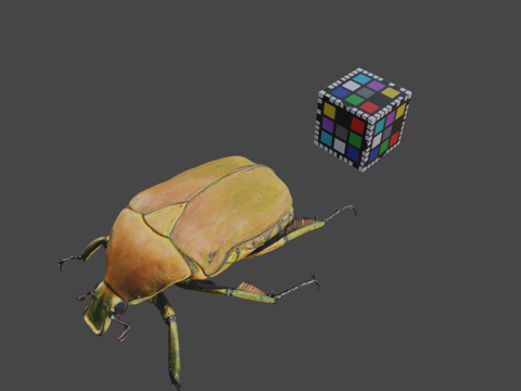  CC0日本金龟子无人机甲虫日本菱金龟3d模型 