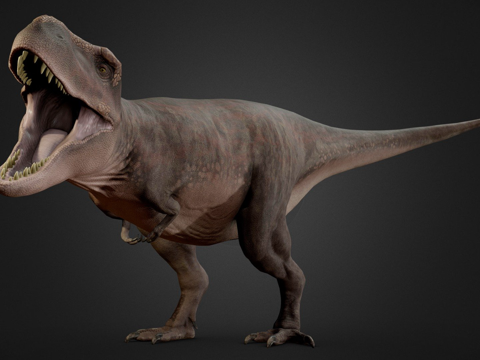  游戏就绪霸王龙3d模型 