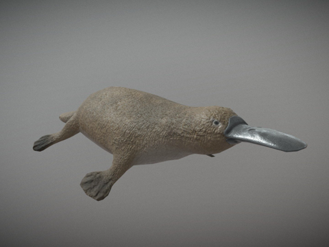  鸭嘴兽3d模型 