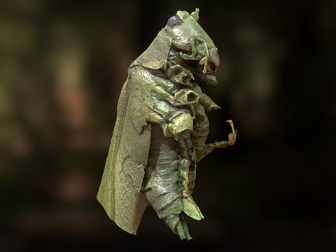  蝗虫宏观摄影测量法3d模型 